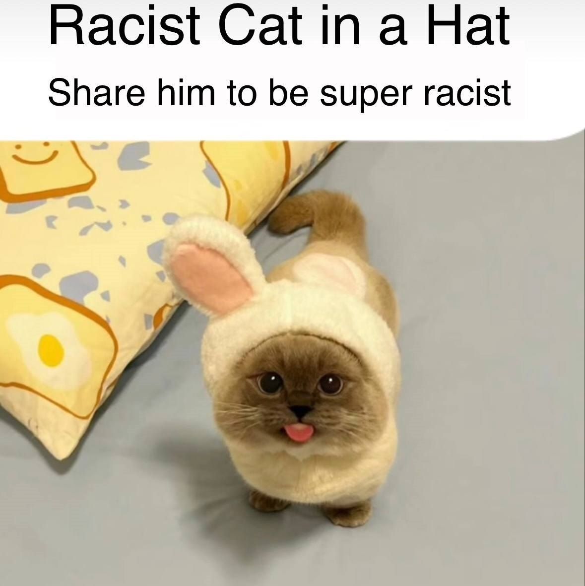 Wroom wroom , I'm a racist now