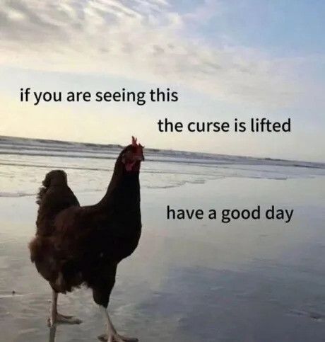 Disclaimer: This only works on minor curses from memes
