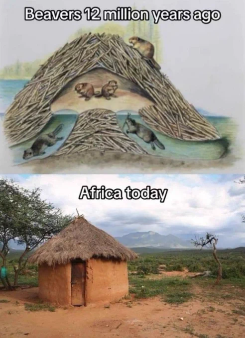 We wuz