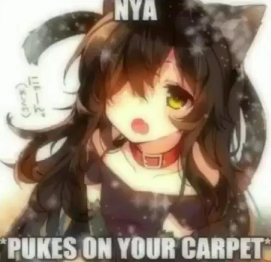 It's always on the damn carpet