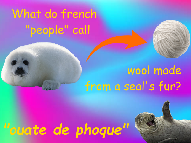 Pardon my french