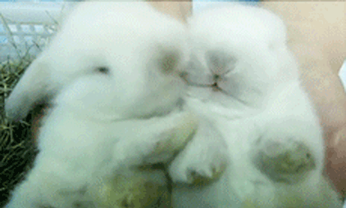 Kissing: You're doing it wrong