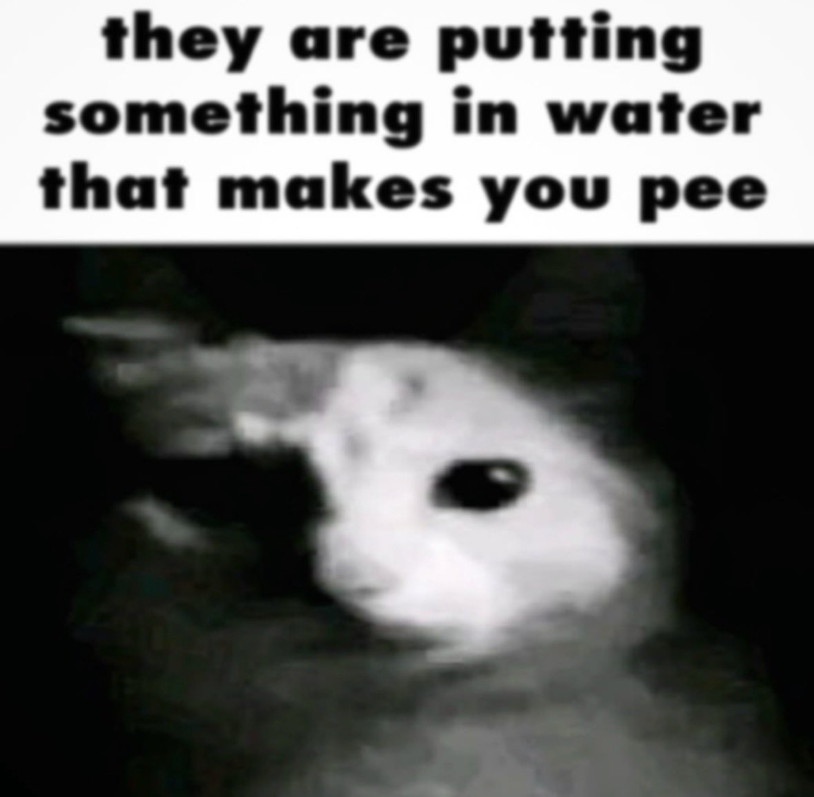 @Teddy