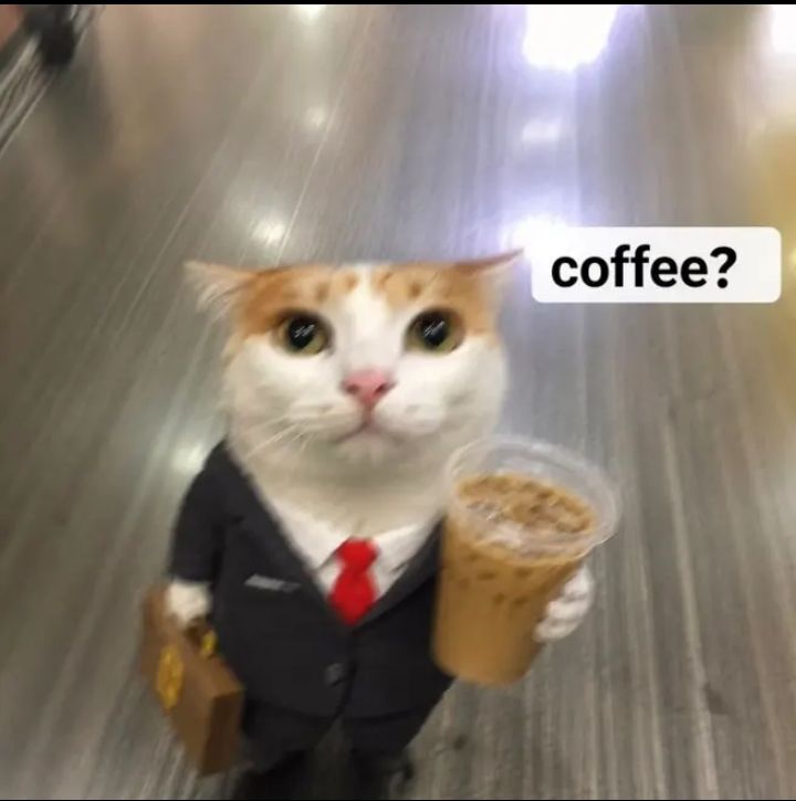 GM!