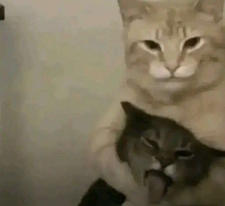 me and who?