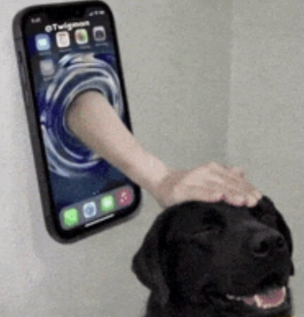 ​​​