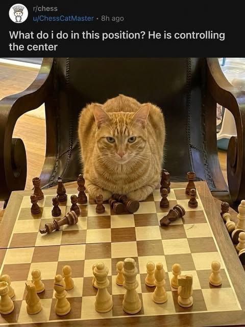 The answer may shock you