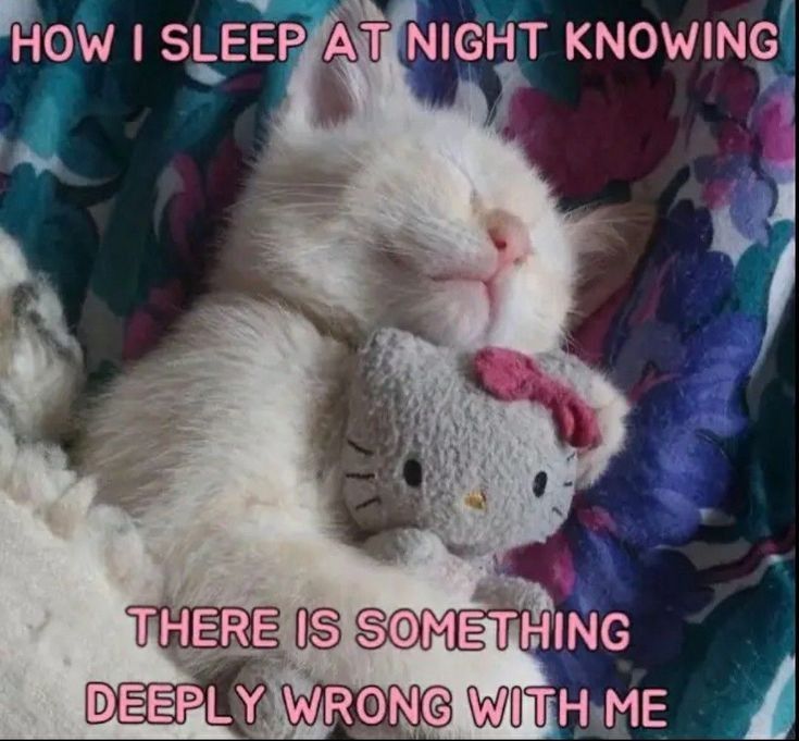 GN HL ^^