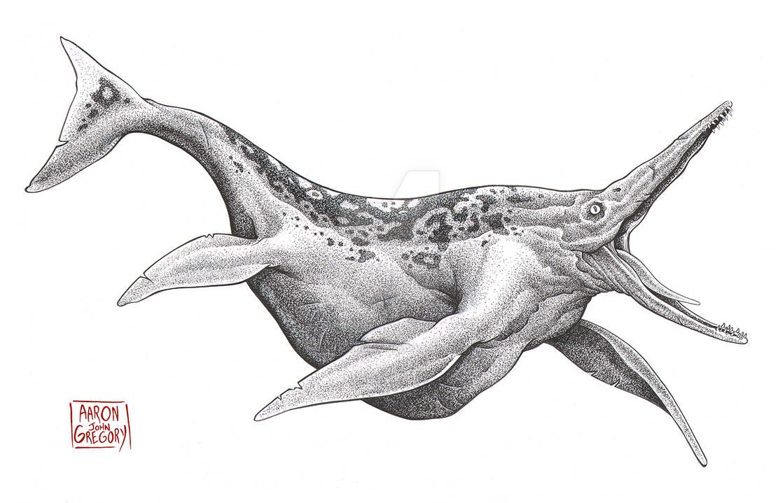 day 12 of posting ***ING SICK dinos, the Shonisaurus sikanniensis the biggest sea dino.