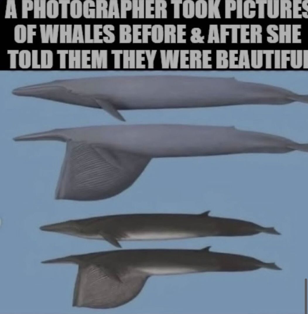 me irl