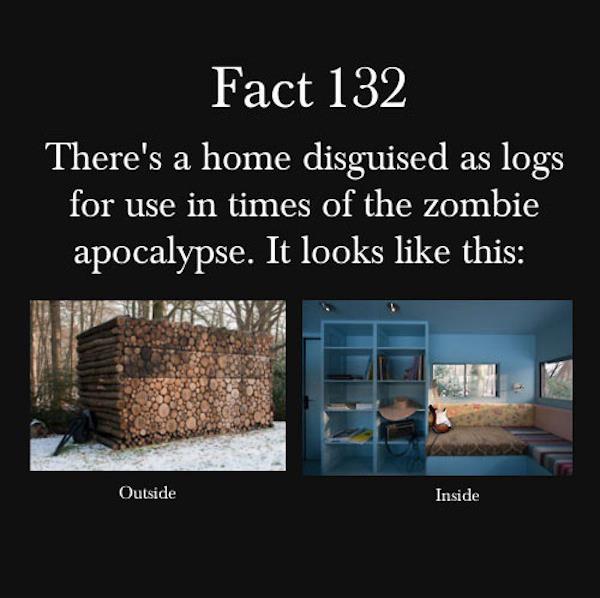 This makes me look forward to an impending zombie apocalypse...