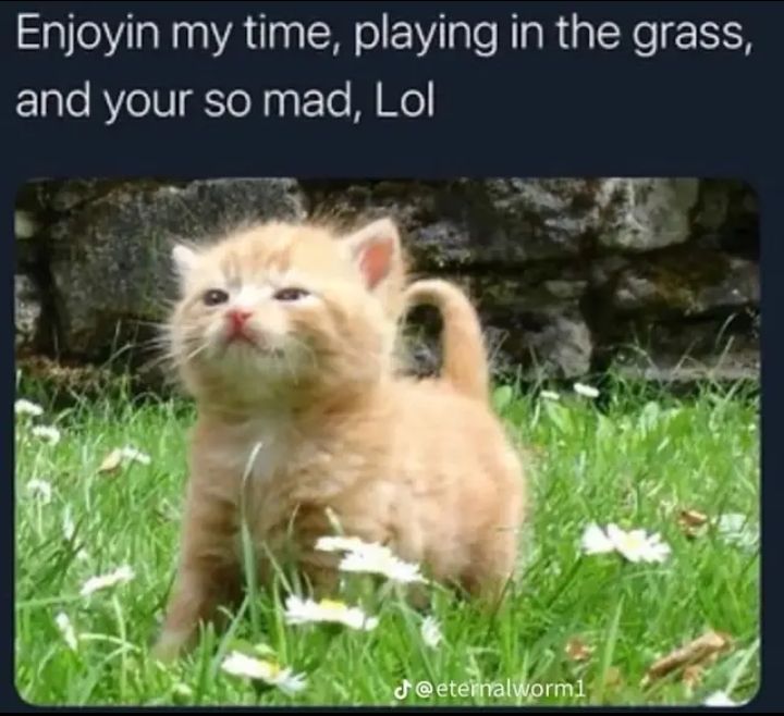 GM!