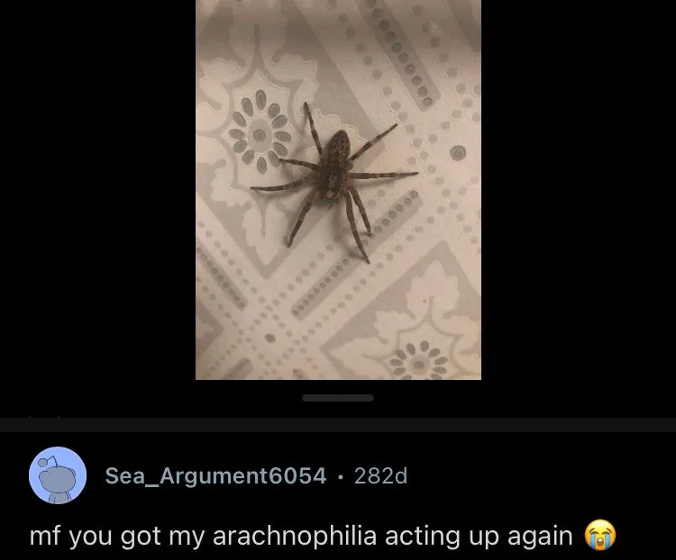Breh