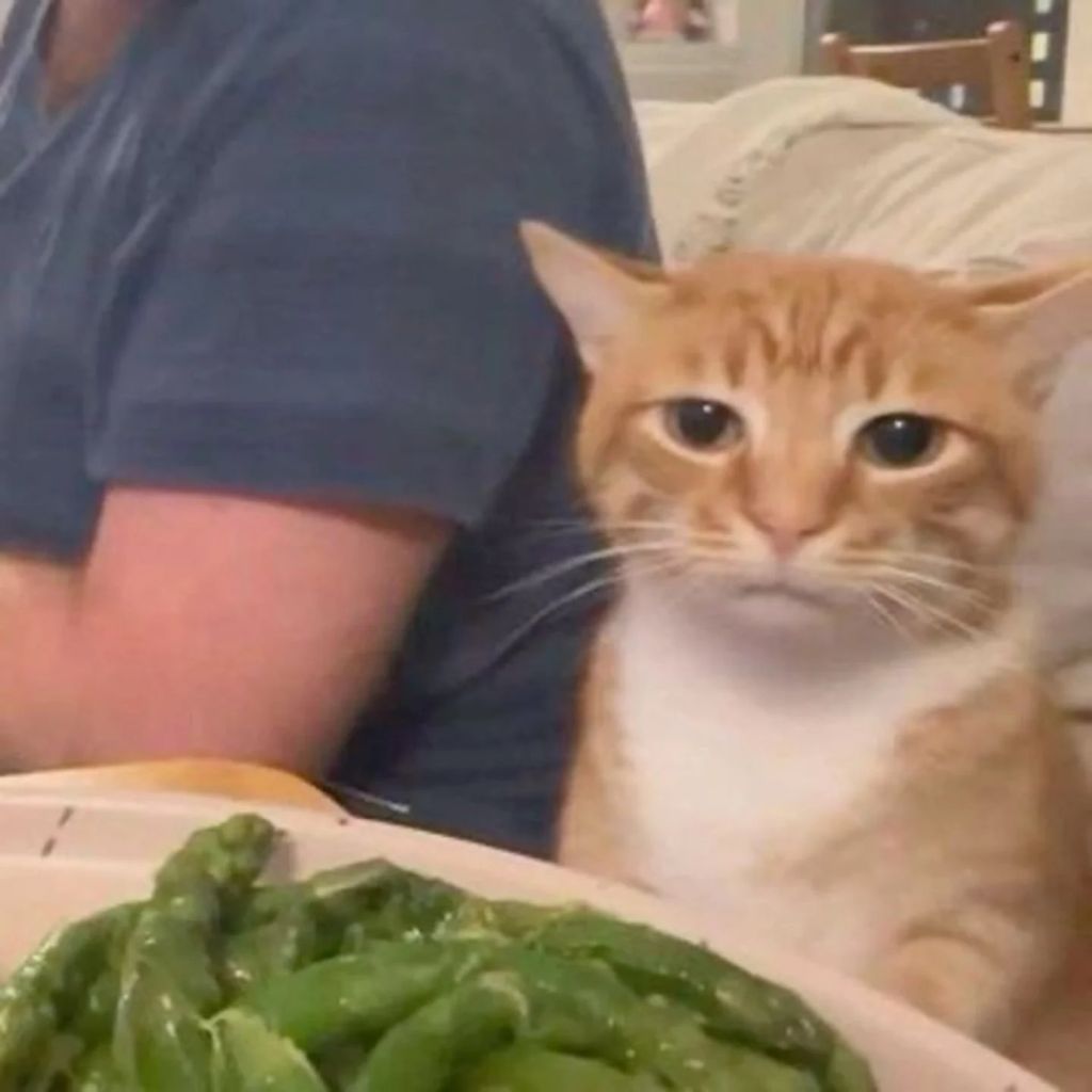 me when comfy posting happens