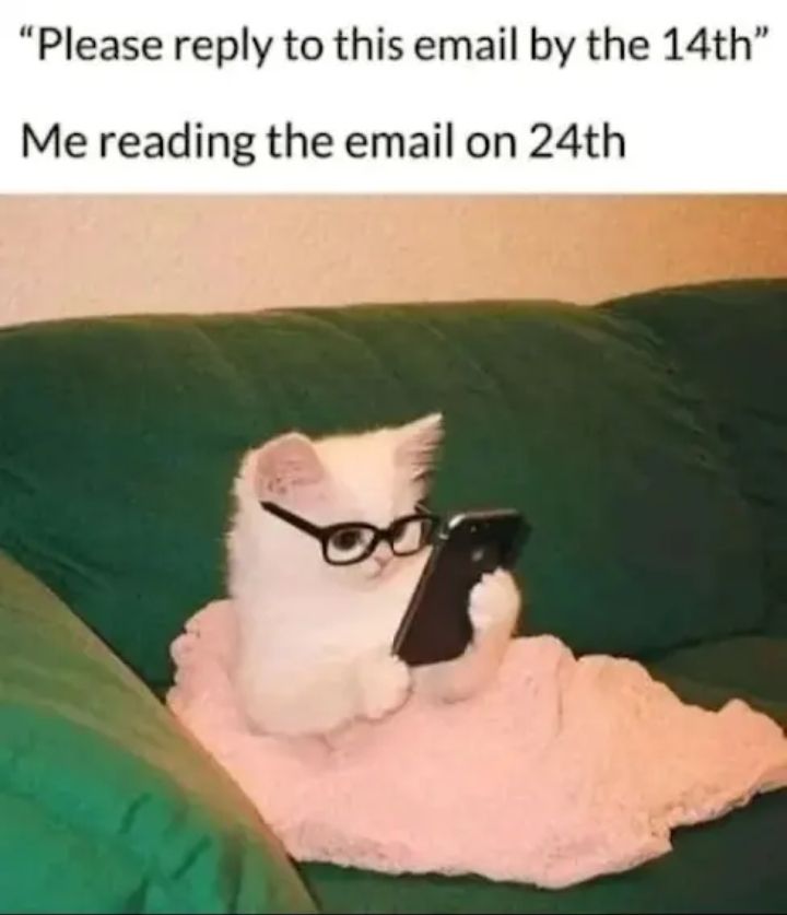 /ᐠ ╥ ˕ ╥マ