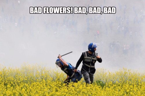 That'll teach 'em a lesson!