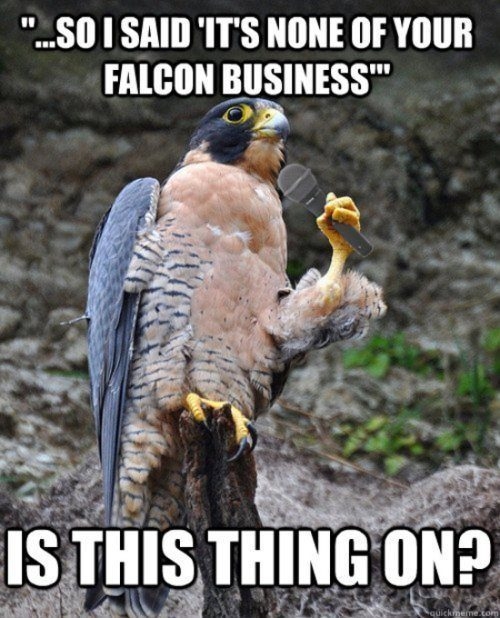 None of your falcon business!