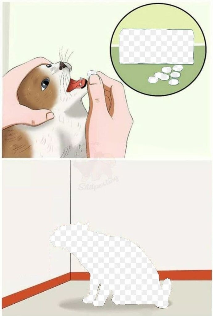 ​​​
