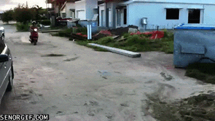 Just gonna take a quick nap
