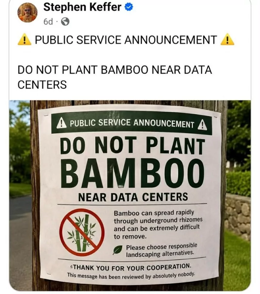 ​​​