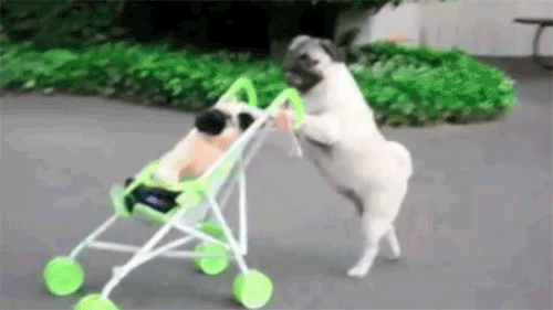 Don't mind me, just off to the shops.