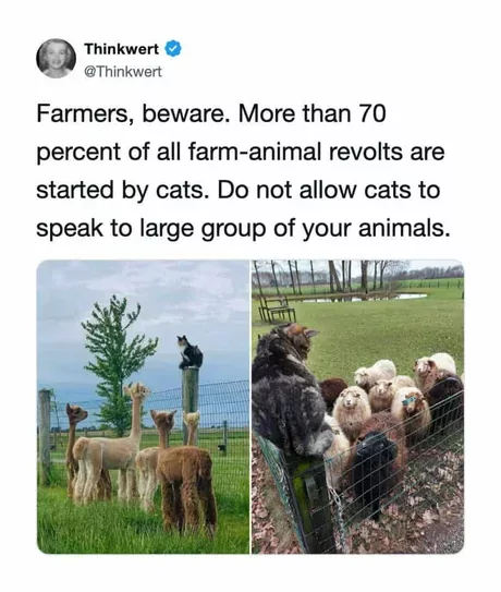 is this the animal farm I keep hearing about