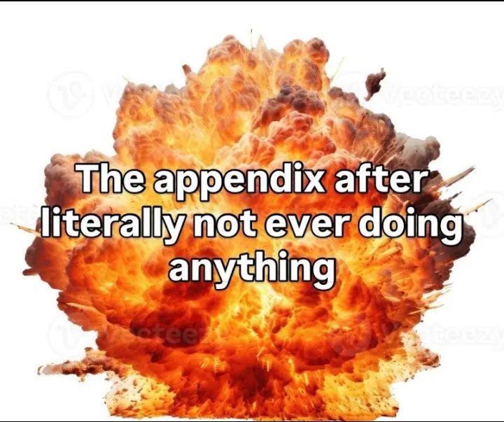 Muslim appendix