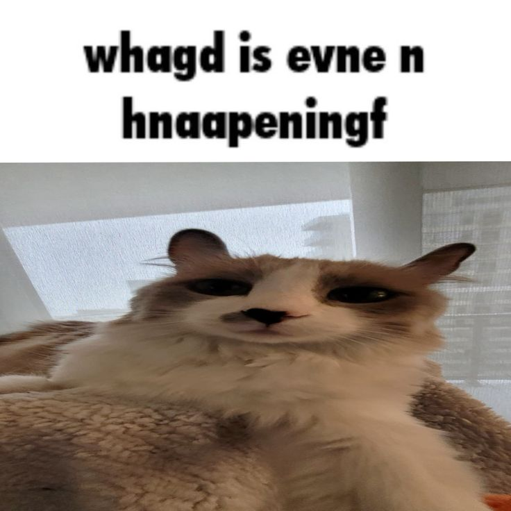 ***
