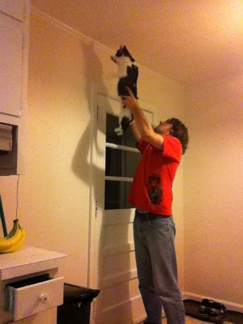 How bachelors kill moths.