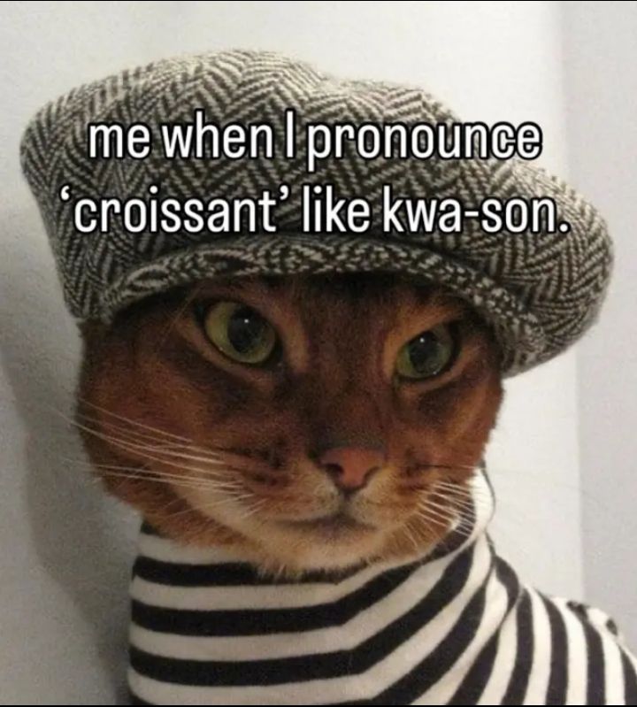 I already know what Sonichu_ is going to comment
