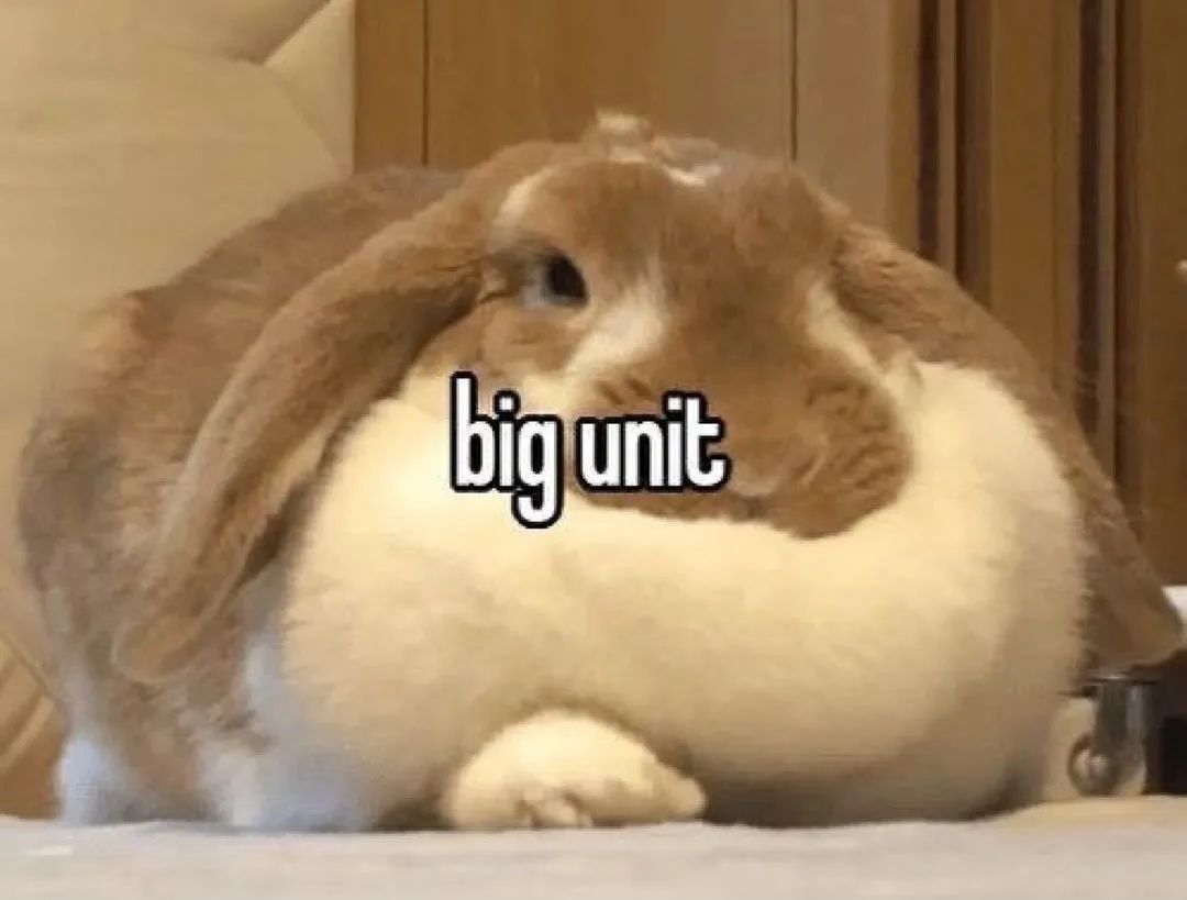 vnghfbmcjvm