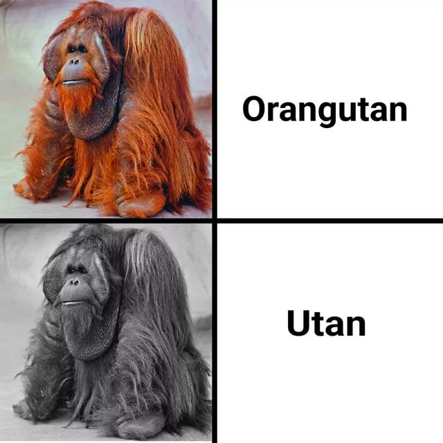 ​​​
