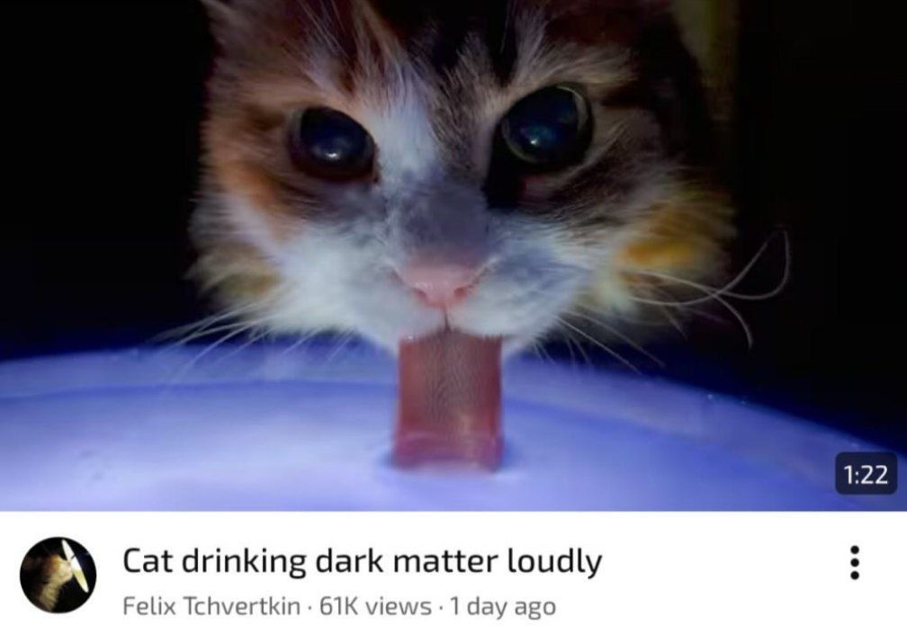 Mooommm, nihlus is drinking the essence of reality againnnn