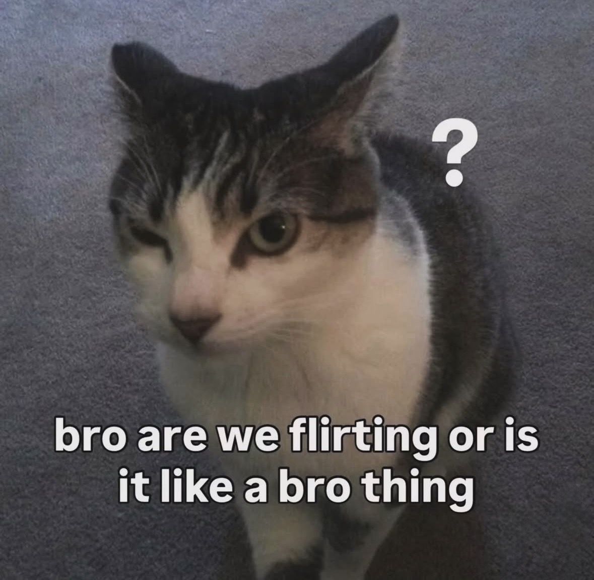 idk anymore