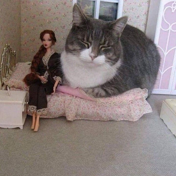 Downudder and his "gf"