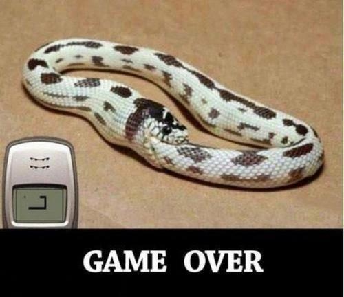 Game Over :D