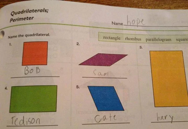 you're a quadrilateral, hary