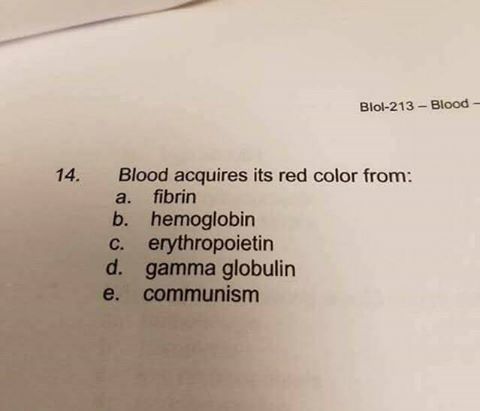 homo globin'