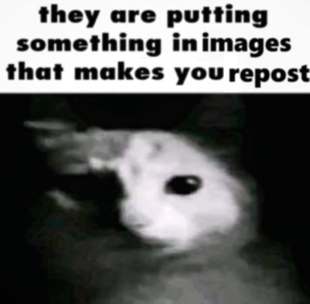 tfw