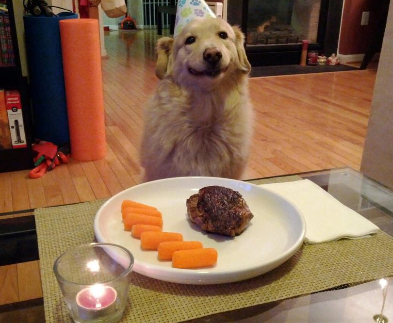 The world's happiest dog