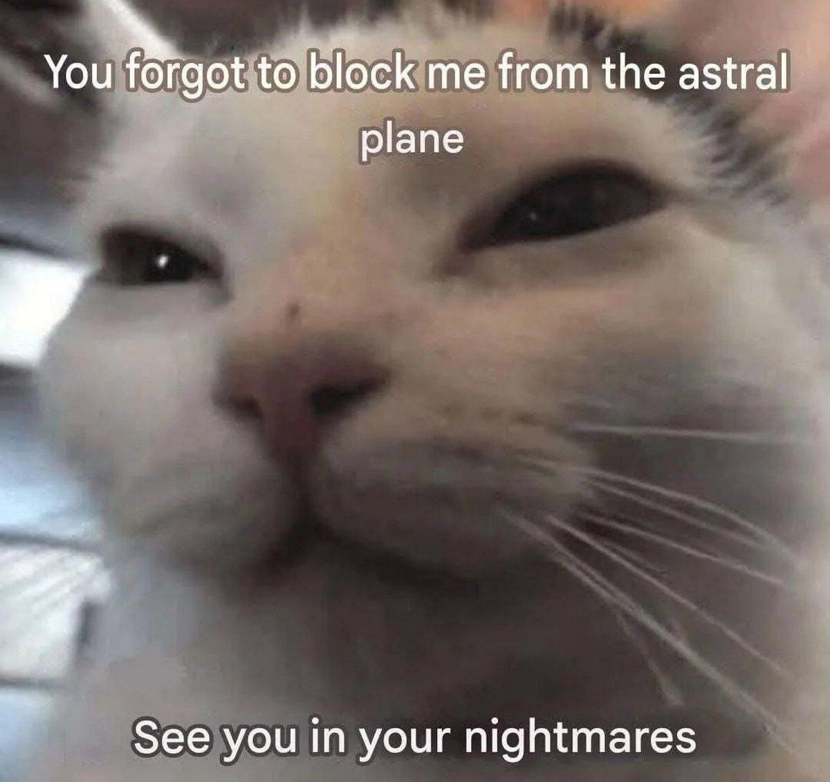 gn.