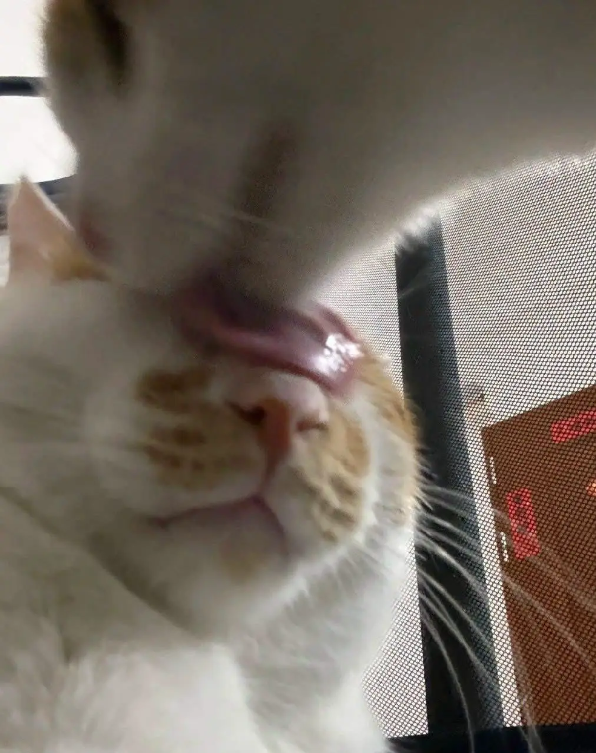 @Grischcuck nihlus is mine now