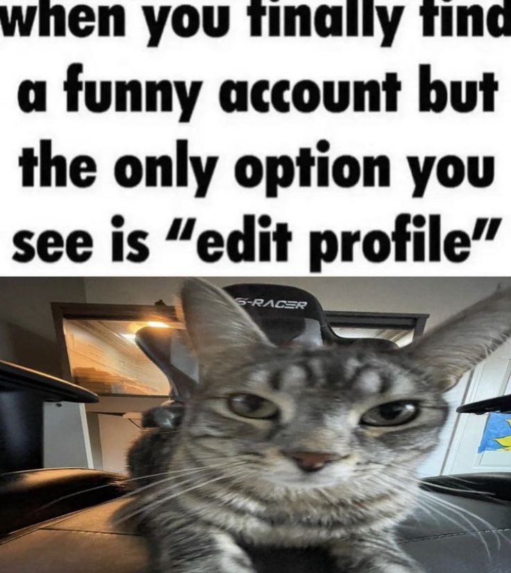 The only real one
