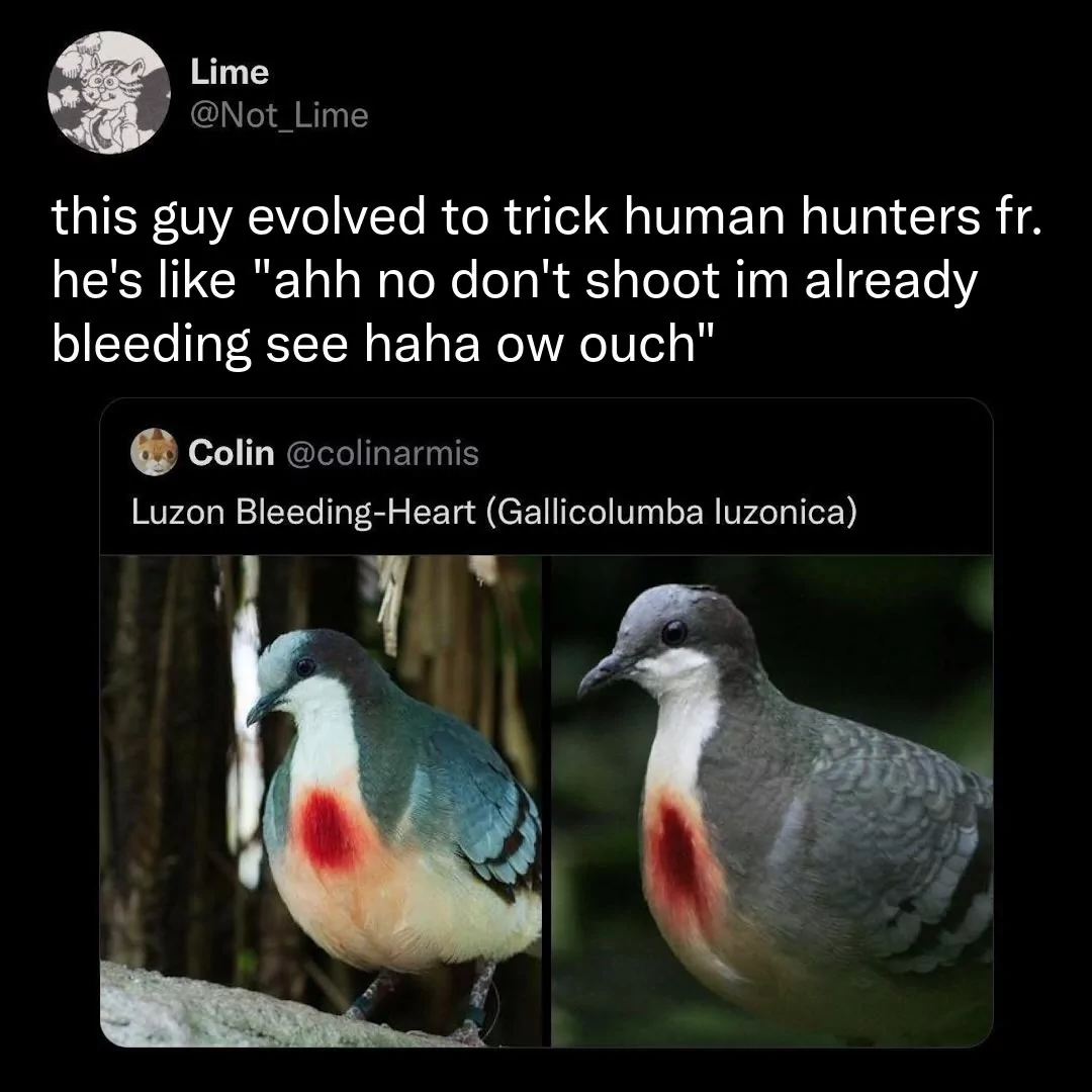 me irl