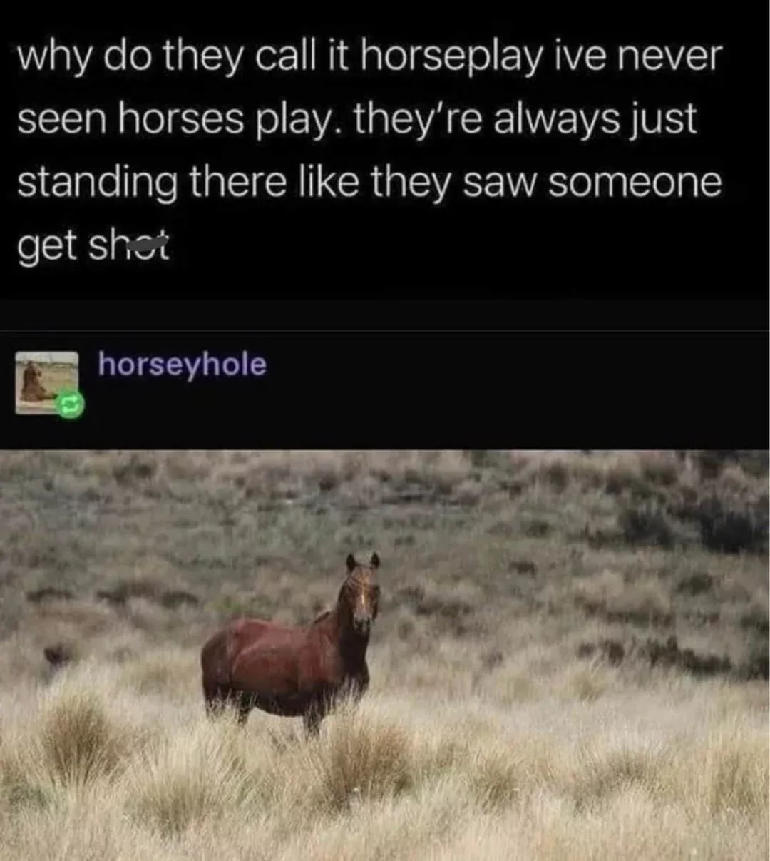 it's just horsing around