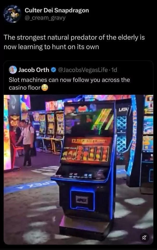 chat is this real