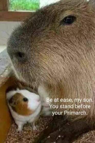 ***