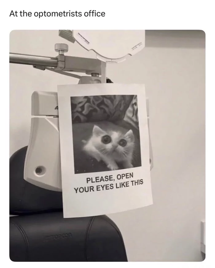 sure *turns into a cat*