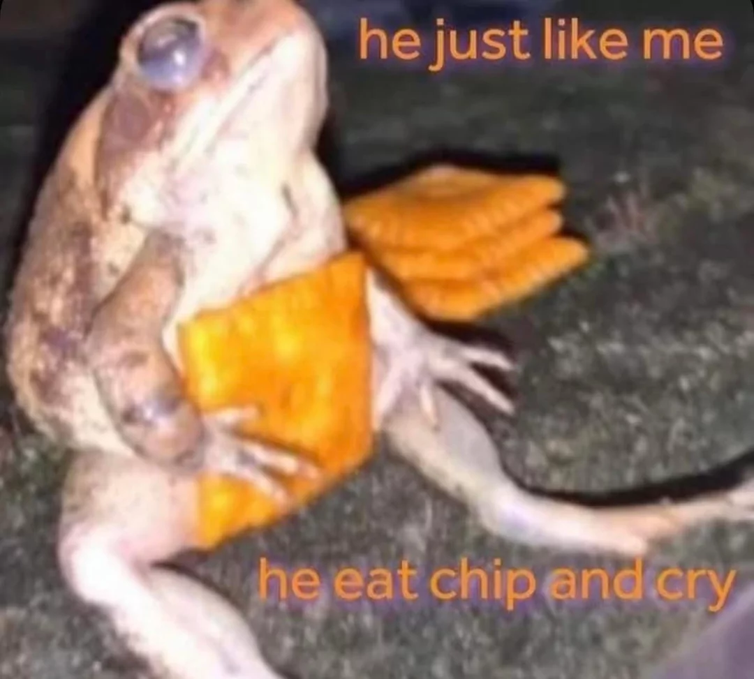 it is Wednesday, my dudes