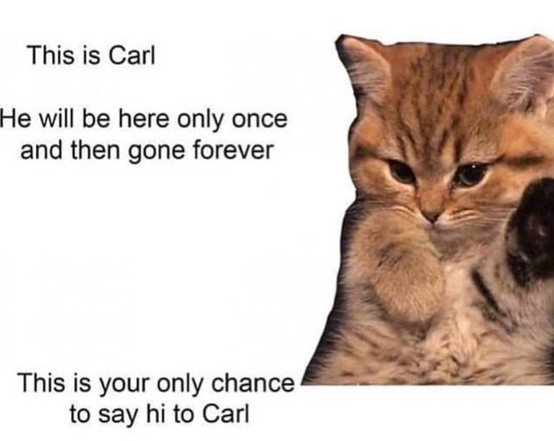 until someone reposts him again
